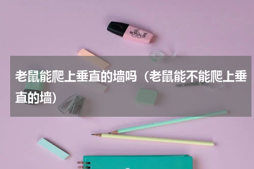 老鼠能爬上垂直的墙吗（老鼠能不能爬上垂直的墙）