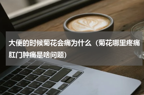 大便的时候菊花会痛为什么（菊花哪里疼痛肛门肿痛是啥问题）