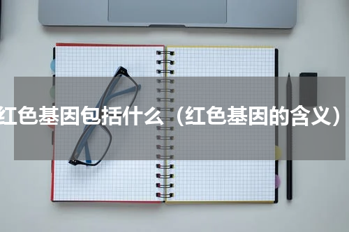 红色基因包括什么（红色基因的含义）