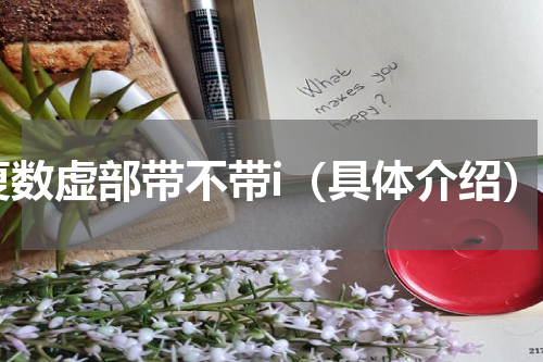 复数虚部带不带i（具体介绍）
