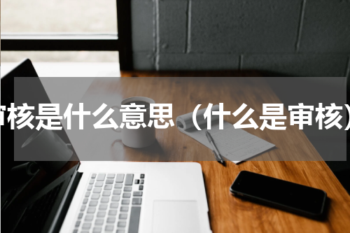 审核是什么意思（什么是审核）
