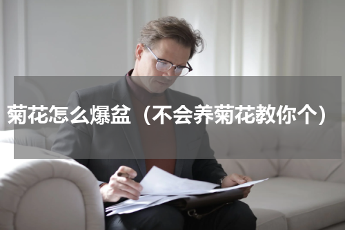 菊花怎么爆盆（不会养菊花教你个）