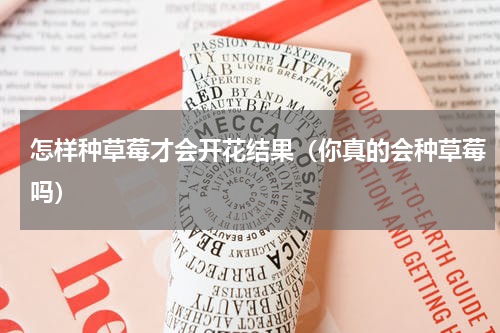 怎样种草莓才会开花结果（你真的会种草莓吗）