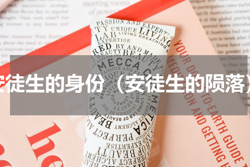 安徒生的身份（安徒生的陨落）