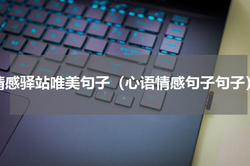 情感驿站唯美句子（心语情感句子句子）