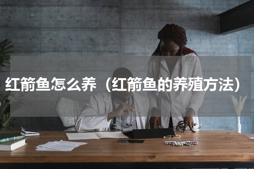 红箭鱼怎么养（红箭鱼的养殖方法）