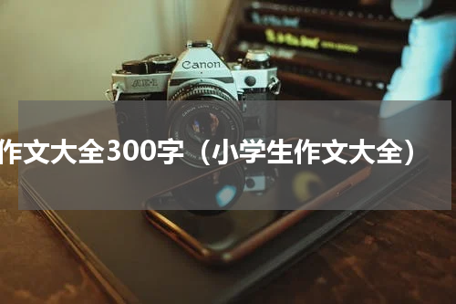 作文大全300字（小学生作文大全）