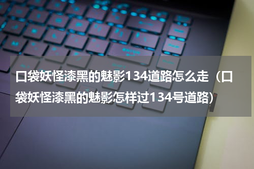 口袋妖怪漆黑的魅影134道路怎么走（口袋妖怪漆黑的魅影怎样过134号道路）