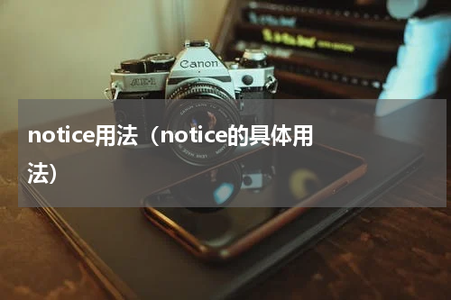 notice用法（notice的具体用法）