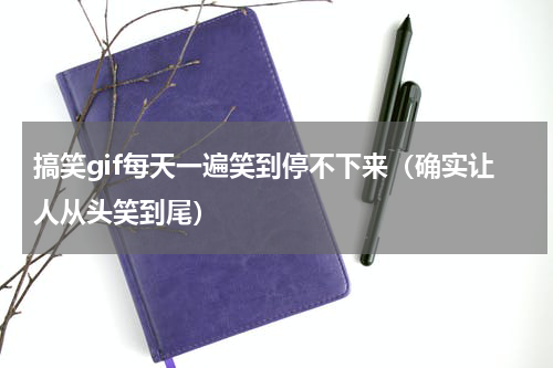 搞笑gif每天一遍笑到停不下来（确实让人从头笑到尾）