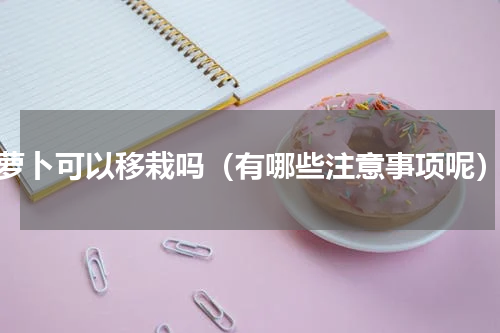萝卜可以移栽吗（有哪些注意事项呢）