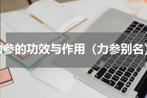 力参的功效与作用（力参别名）