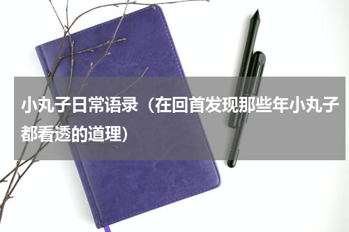 小丸子日常语录（在回首发现那些年小丸子都看透的道理）