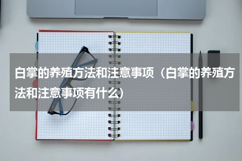 白掌的养殖方法和注意事项（白掌的养殖方法和注意事项有什么）