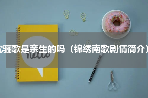 沈骊歌是亲生的吗（锦绣南歌剧情简介）