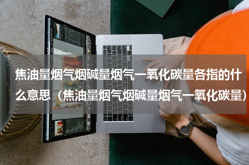 焦油量烟气烟碱量烟气一氧化碳量各指的什么意思（焦油量烟气烟碱量烟气一氧化碳量）