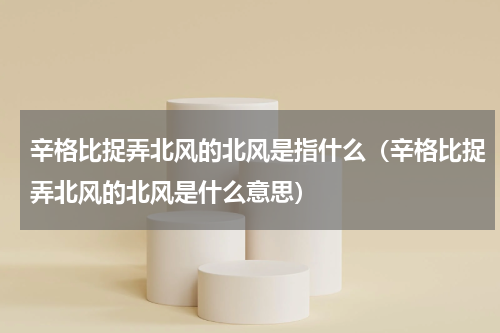 辛格比捉弄北风的北风是指什么（辛格比捉弄北风的北风是什么意思）