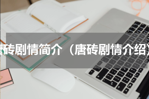唐砖剧情简介（唐砖剧情介绍）
