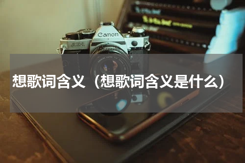 想歌词含义（想歌词含义是什么）