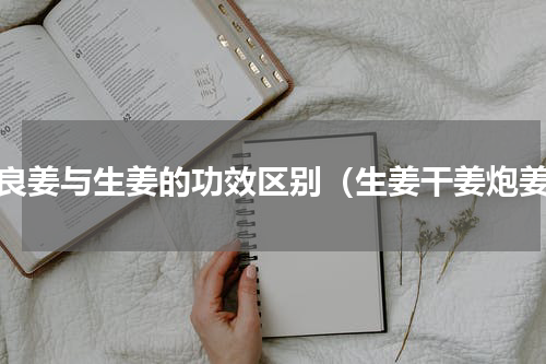 高良姜与生姜的功效区别（生姜干姜炮姜）