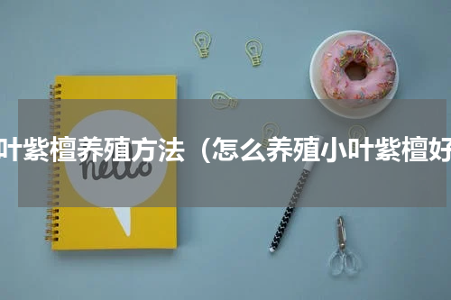 小叶紫檀养殖方法（怎么养殖小叶紫檀好）