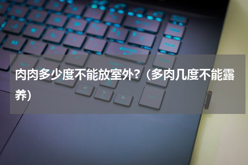 肉肉多少度不能放室外?（多肉几度不能露养）