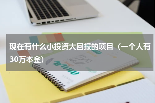 现在有什么小投资大回报的项目（一个人有30万本金）