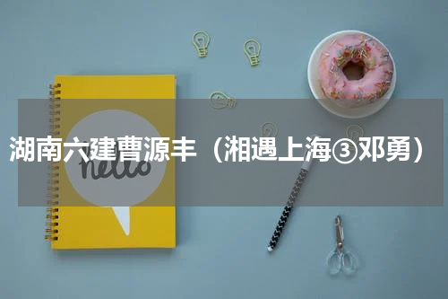 湖南六建曹源丰（湘遇上海③邓勇）