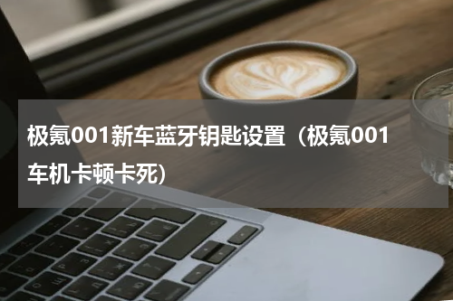 极氪001新车蓝牙钥匙设置（极氪001车机卡顿卡死）