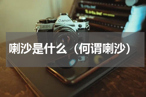 喇沙是什么（何谓喇沙）