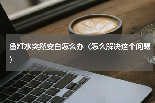 鱼缸水突然变白怎么办（怎么解决这个问题）