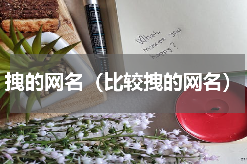 拽的网名（比较拽的网名）
