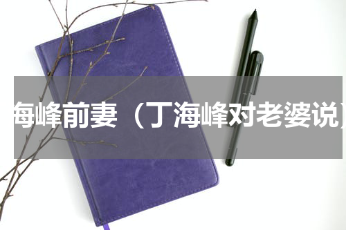 丁海峰前妻（丁海峰对老婆说）