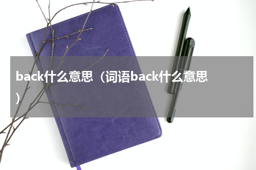 back什么意思（词语back什么意思）