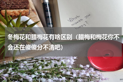 冬梅花和腊梅花有啥区别（腊梅和梅花你不会还在傻傻分不清吧）