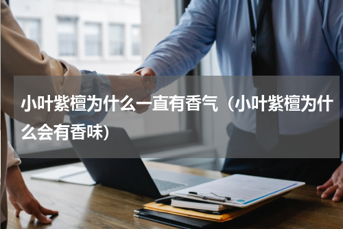 小叶紫檀为什么一直有香气（小叶紫檀为什么会有香味）