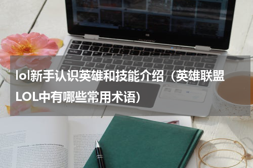 lol新手认识英雄和技能介绍（英雄联盟LOL中有哪些常用术语）