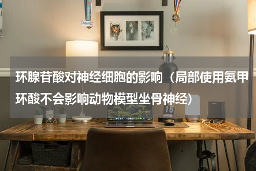 环腺苷酸对神经细胞的影响（局部使用氨甲环酸不会影响动物模型坐骨神经）