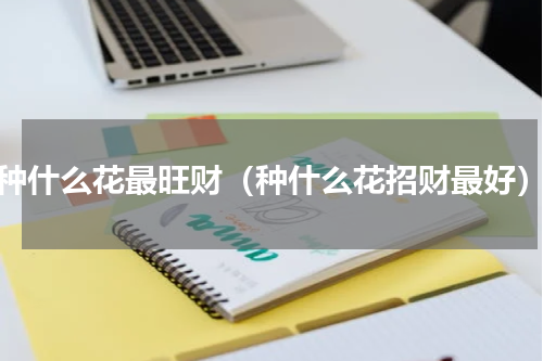 种什么花最旺财（种什么花招财最好）