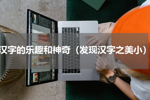 汉字的乐趣和神奇（发现汉字之美小）
