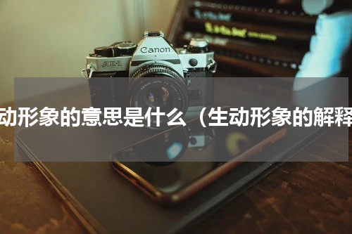 生动形象的意思是什么（生动形象的解释）