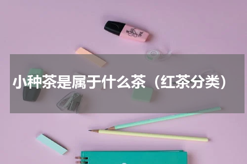 小种茶是属于什么茶（红茶分类）