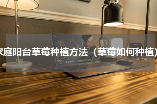 家庭阳台草莓种植方法（草莓如何种植）