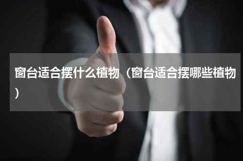 窗台适合摆什么植物（窗台适合摆哪些植物）