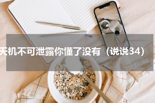 天机不可泄露你懂了没有（说说34）