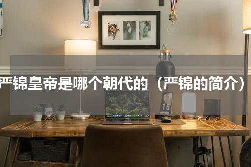 严锦皇帝是哪个朝代的（严锦的简介）