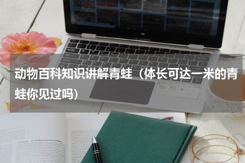 动物百科知识讲解青蛙（体长可达一米的青蛙你见过吗）