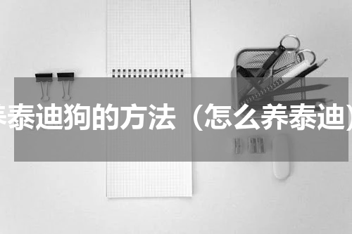 养泰迪狗的方法（怎么养泰迪）