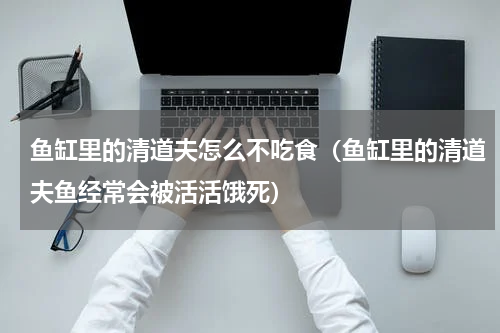 鱼缸里的清道夫怎么不吃食（鱼缸里的清道夫鱼经常会被活活饿死）