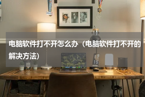 电脑软件打不开怎么办（电脑软件打不开的解决方法）